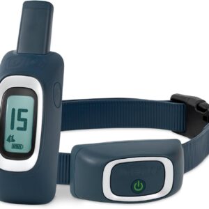 PetSafe 600 Yard Lite Remote Trainer