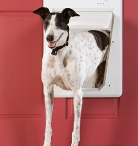 PetSafe Electronic Pet Door - Large - PPA11-10709