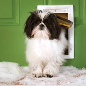 PetSafe Extreme Weather Plastic Frame Dog & Cat Door - Small - PPA00-10984