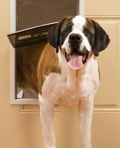 PetSafe Freedom Pet Door - Extra Large