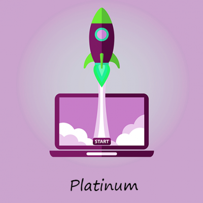 US Traffic - PLATINUM
