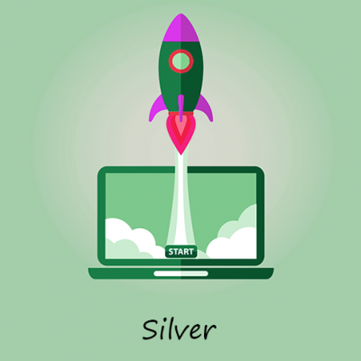 US Traffic - SILVER